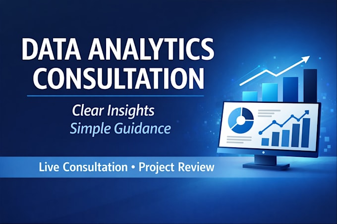 provide data analytics consultation with clear insights