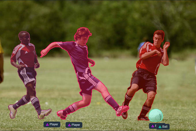 do image annotation, bounding box, segmentation for ai datasets