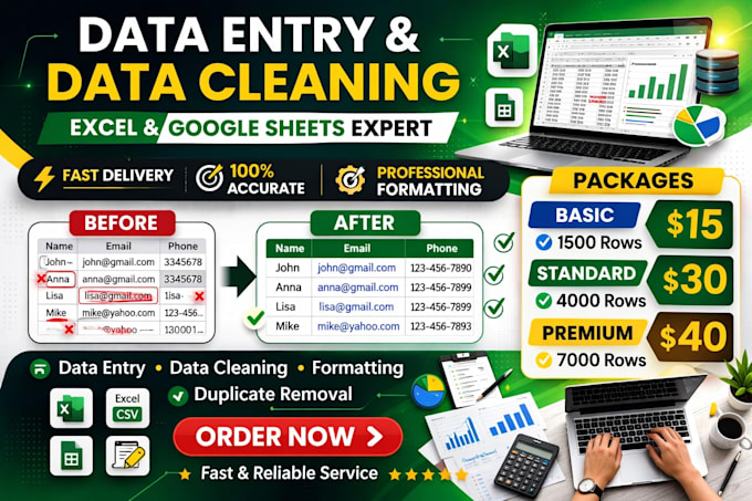 data entry, data cleaning ,excel formatting