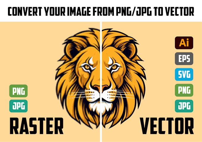 provide professional and reliable graphic design services