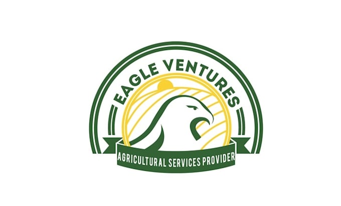create an simple and powerful logo for eagle ventures