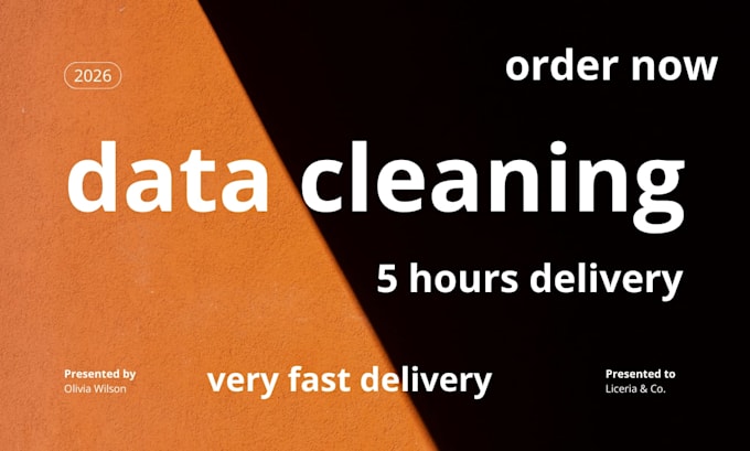 do data cleaning and formatting