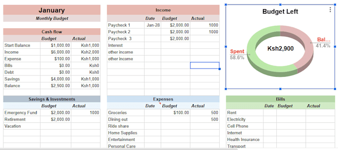 develop a professional cash flow forecast and budgeting system