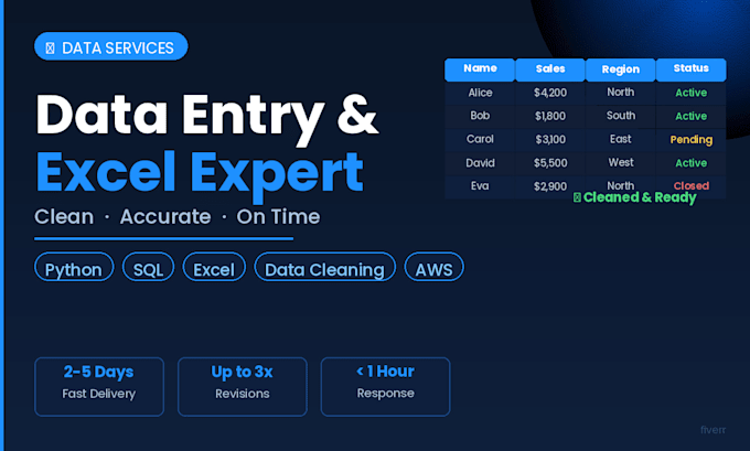 do data entry excel work and data cleaning professionally