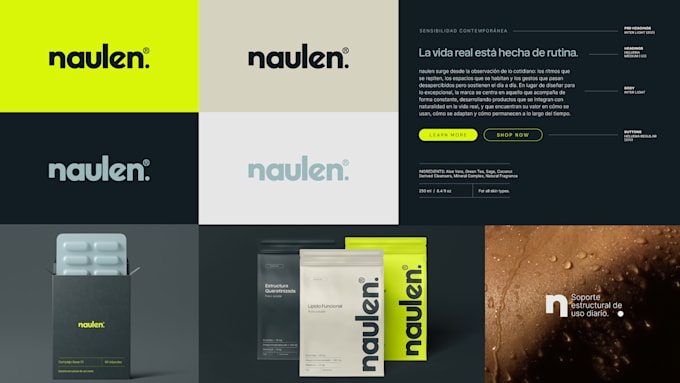 design professional branding and logo