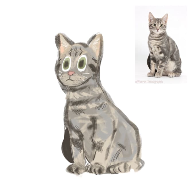 draw your cat in my style