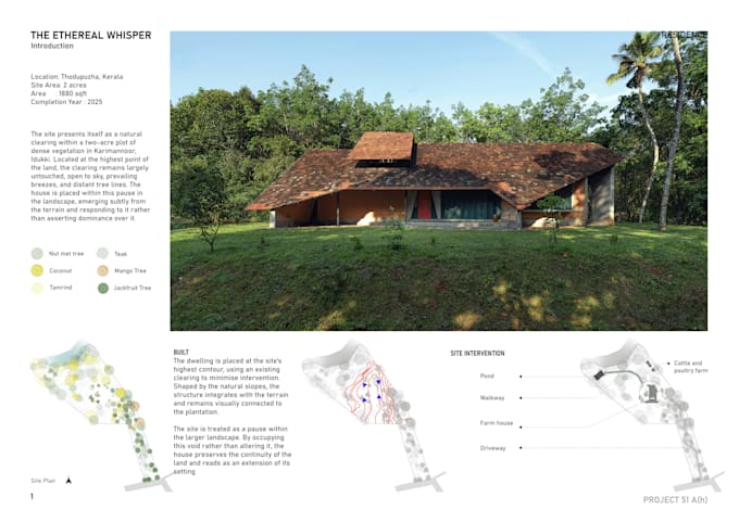 create professional architectural presentation, diagrams and sheets