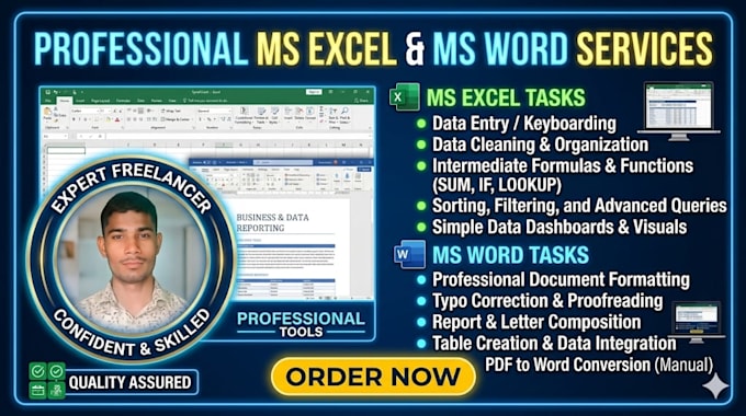 do professional ms excel and ms word data entry manually
