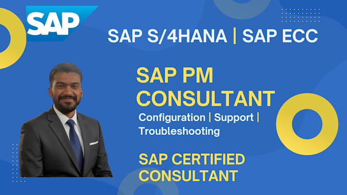 provide sap pm and eam consulting and support