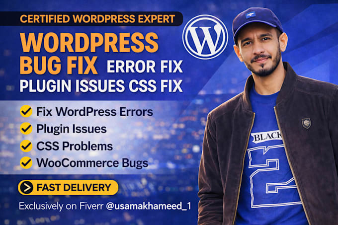 fix wordpress bugs, errors, css issues and website problems