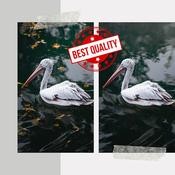 removal unwanted objects from your photos professionally