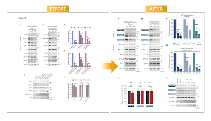 design professional scientific figures for papers or theses
