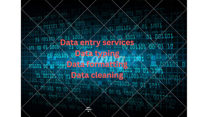 do data enrty and cleaning with excel