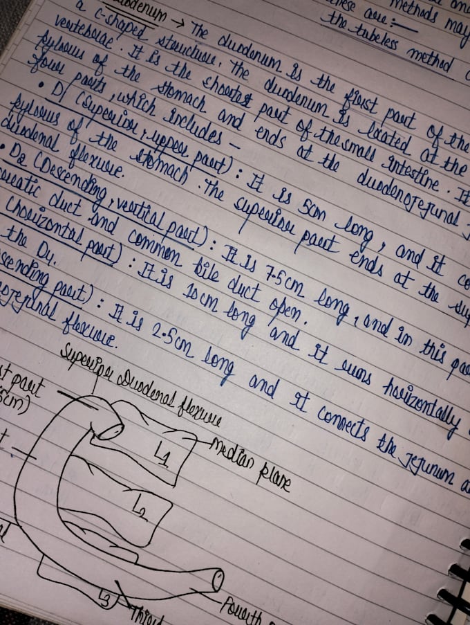 write custom handwritten letters,notes,scripts, business speech and invitations