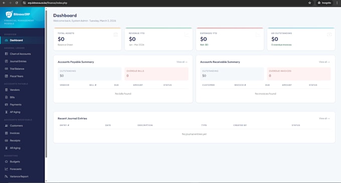 develop a custom erp financial management system