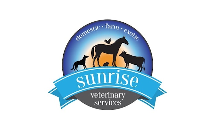 design mascot modern veterinary clinic logo