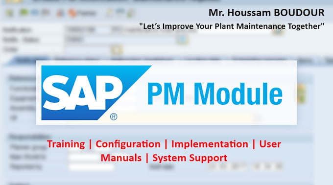 be your sap pm consultant