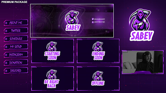 design a professional static twitch stream overlay package
