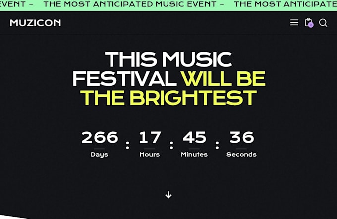 do festival creative website design