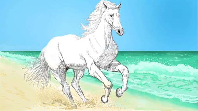 draw animal or bird illustrations