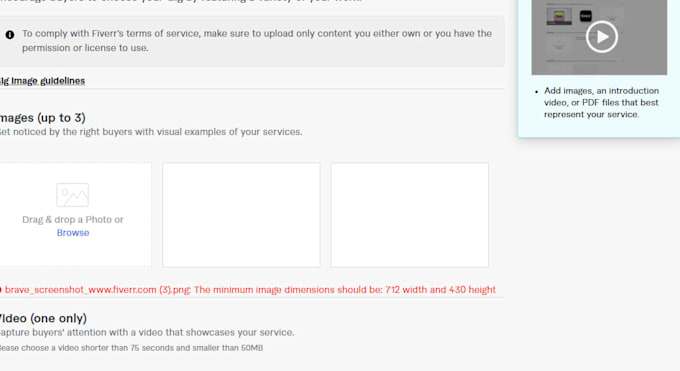 design professional website developer and ecommerce expert