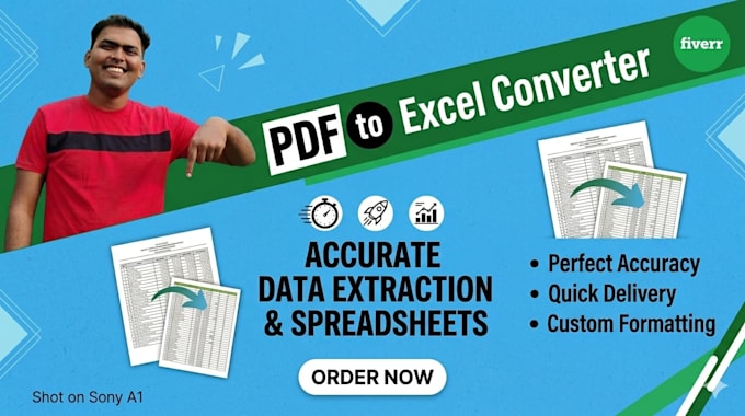 convert PDF to excel spreadsheet manually with high accuracy