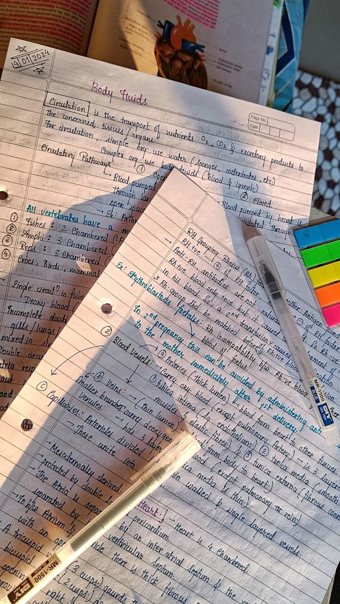 write high quality assignments and academic papers