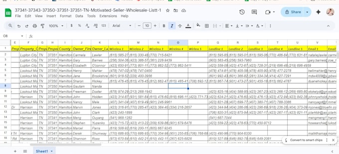 provide verified skip tracing and motivated seller leads