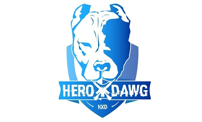 create a capturing youtube logo for my channel hero dawg