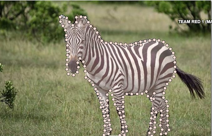 do exact polygon and image segmentation annotation for ai datasets
