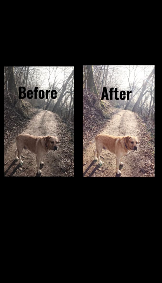 professionally edit videos and create before and after transformations