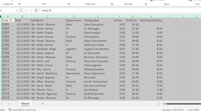 data cleaning and expert in excel