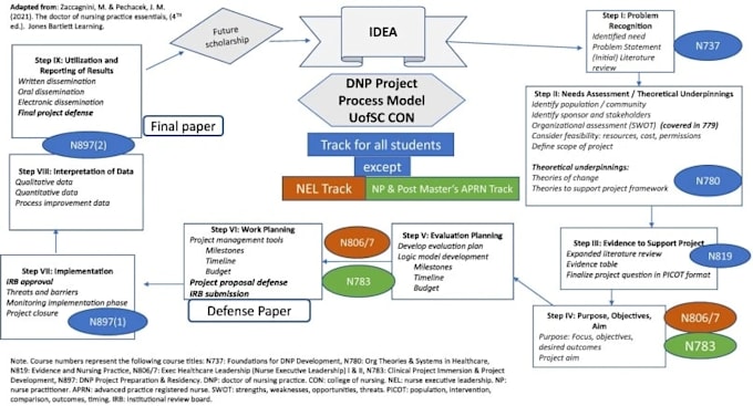 do the dnp project, formulate a picot question, ebp, and nursing tasks