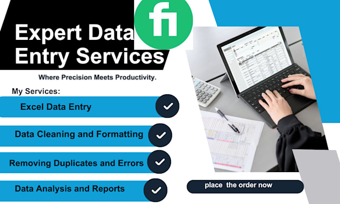 do data cleaning organizing and excel data formatting,