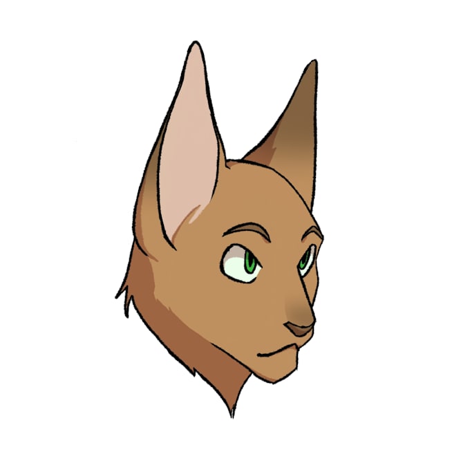 draw a custom cat commission or warrior cat oc