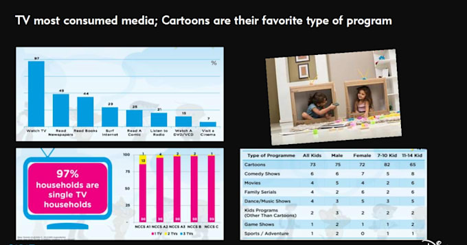 provide professional data analysis, entry, and professional presentations
