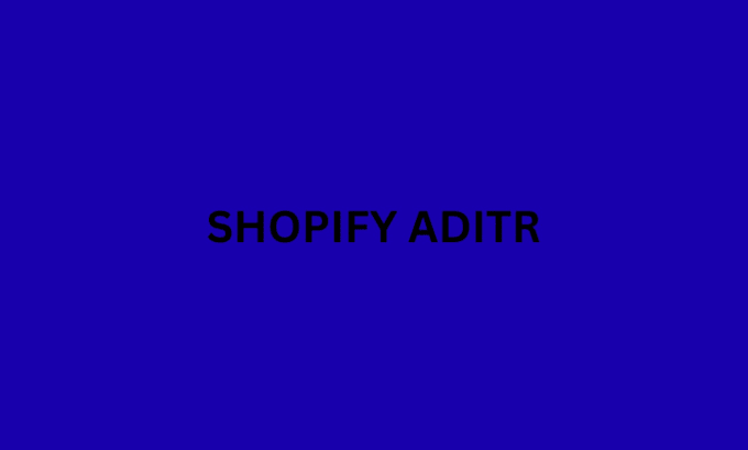 audit shopify in professionaly