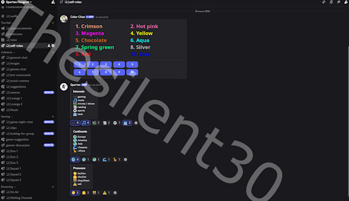 build your discord server