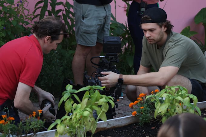 create professional video content for your business