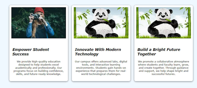 wordpress website design and redesign wordpress website development