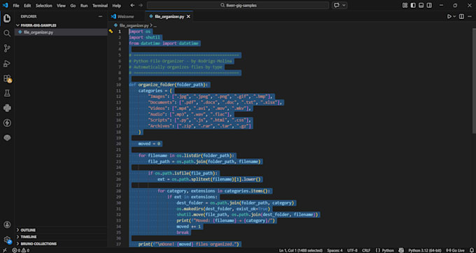 Automate your excel and python tasks by Rodrigo_molina1 | Fiverr