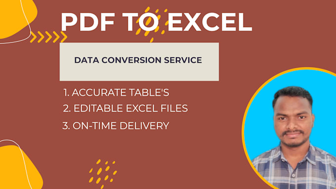 convert PDF to excel professionally