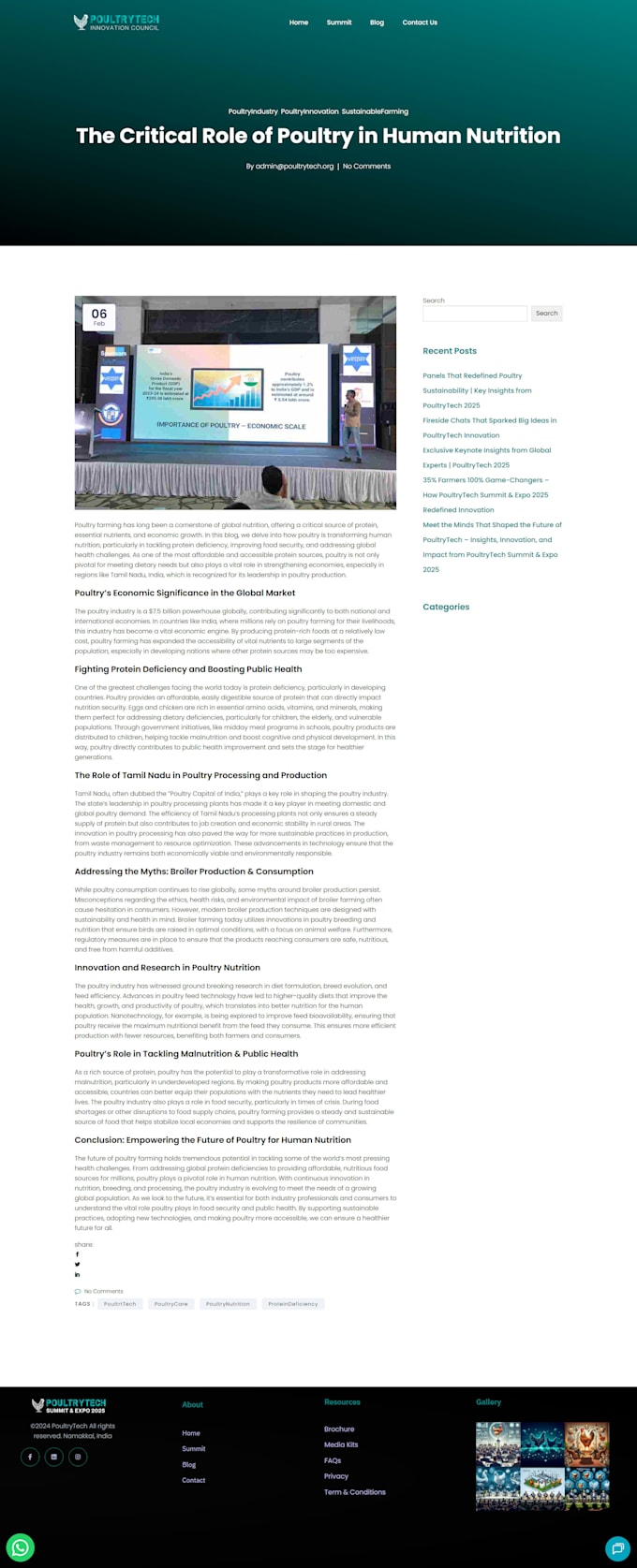 write SEO optimized wordpress blog posts and website content