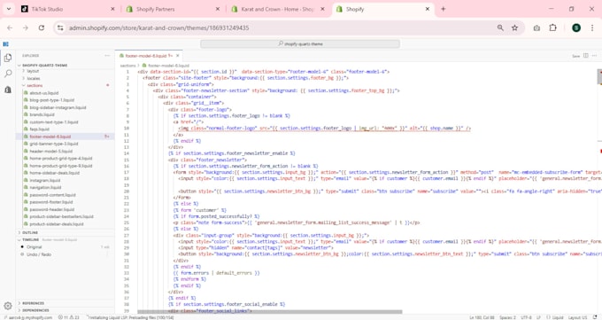 do shopify custom coding, bug fixing, and theme customization