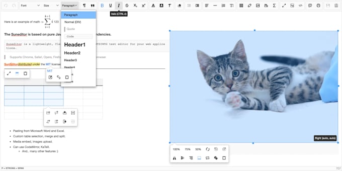 build a custom or integrate wysiwyg or HTML editor