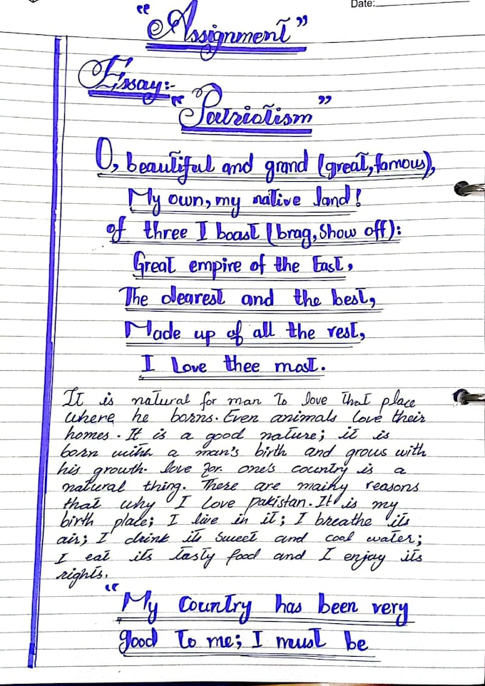 provide professional handwriting and expert ms word assignment services
