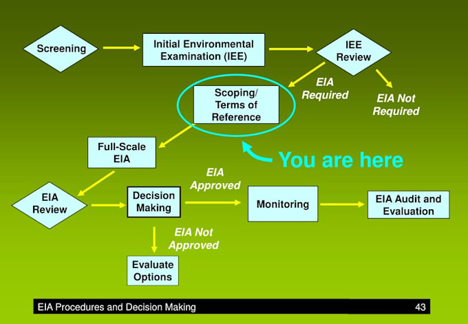 do environmental impact assessment