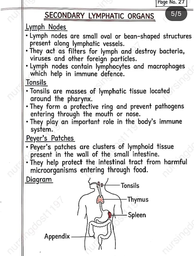 create smart biology notes for easy understanding