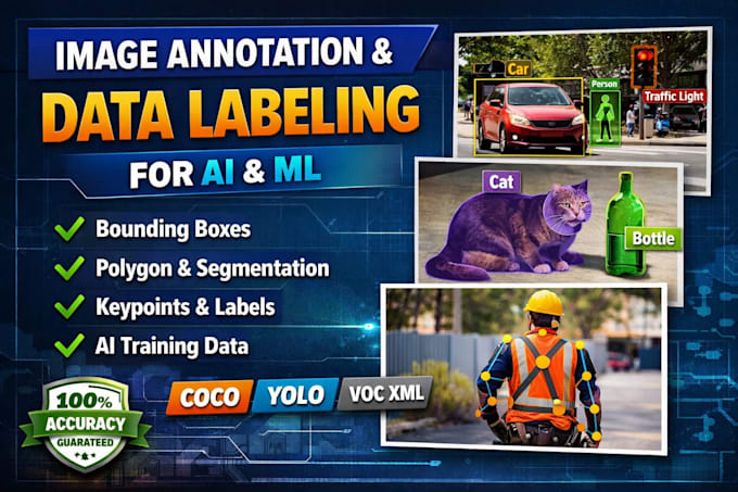 Provide image annotation services, data labeling and segmentation for ...