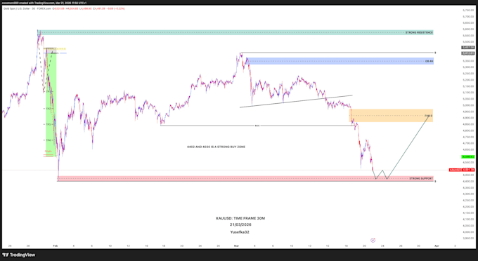 provide professional xauusd and forex technical analysis